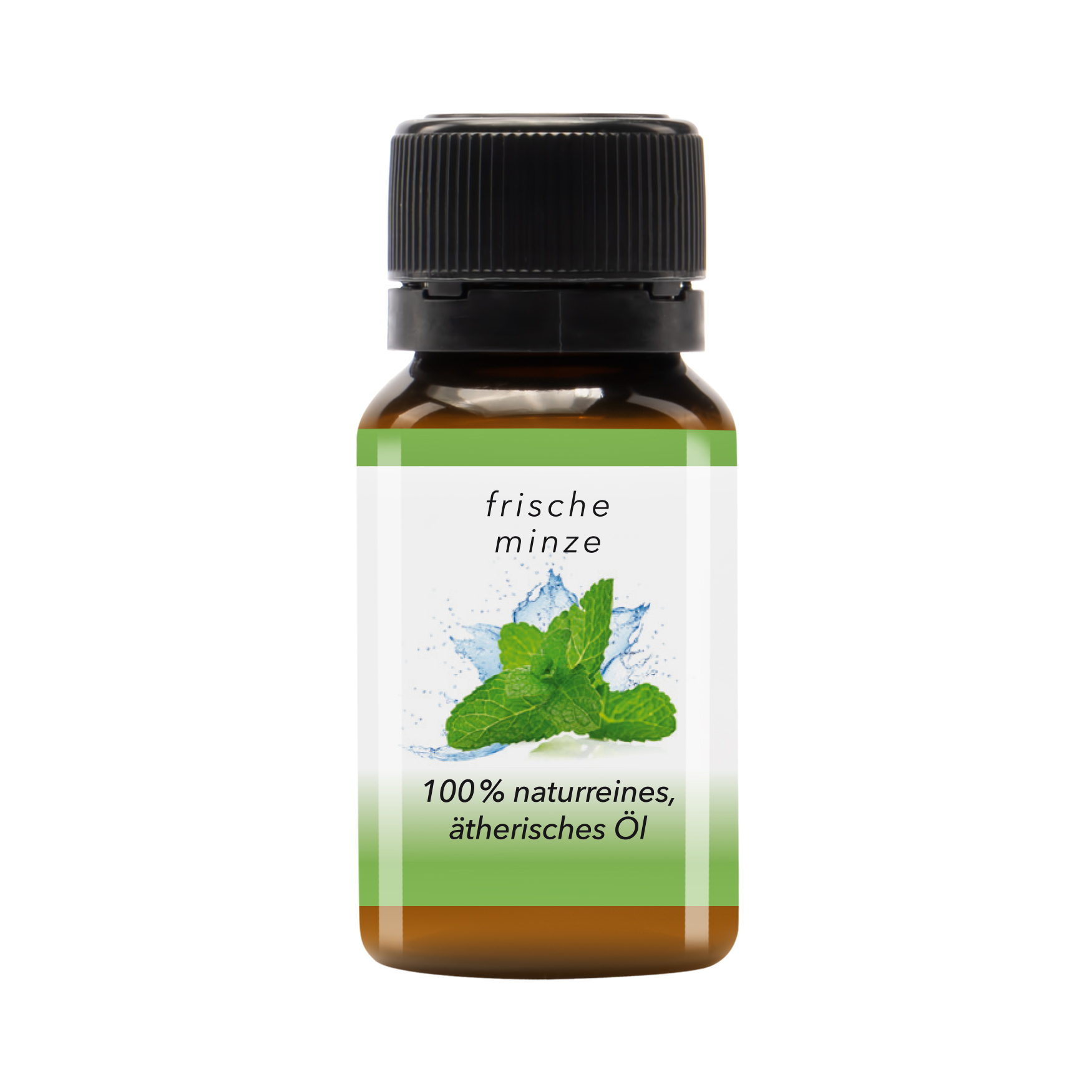 Frische Minze Spearmint